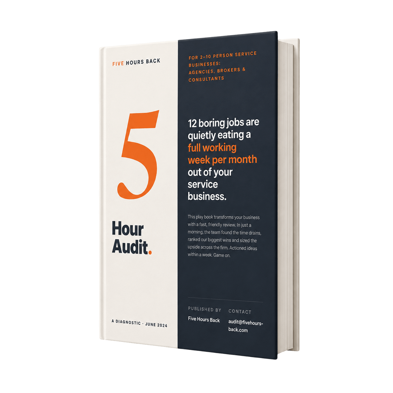 The 5 Hour Audit guide